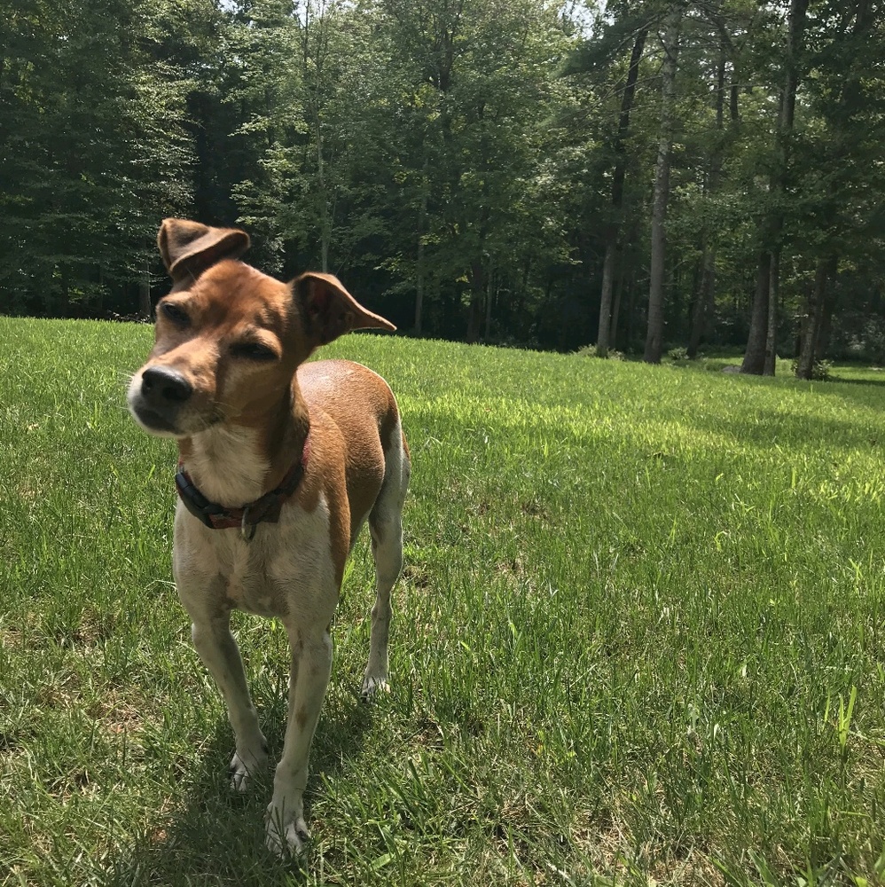 Meet your Posher, Lily